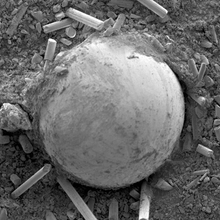  SEM – Microscope électronique à balayage – Jeol 7800‑E Prime - Surface - Ball