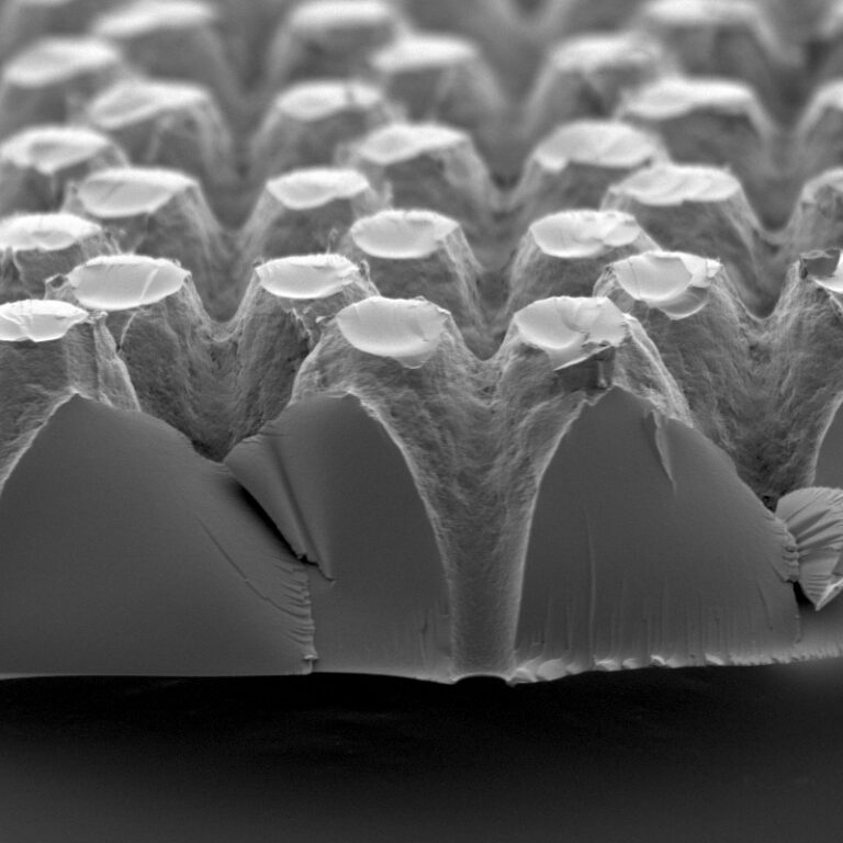  SEM – Microscope électronique à balayage – Jeol 7800‑E Prime - Cross section - boite à oeufs