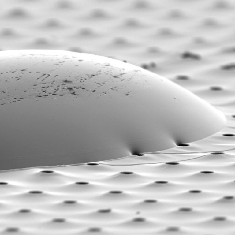  SEM – Microscope électronique à balayage – Jeol 7800‑E Prime - Surface - goute