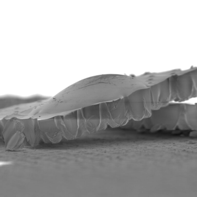  SEM – Microscope électronique à balayage – Jeol 7800‑E Prime - SEM Bordeaux