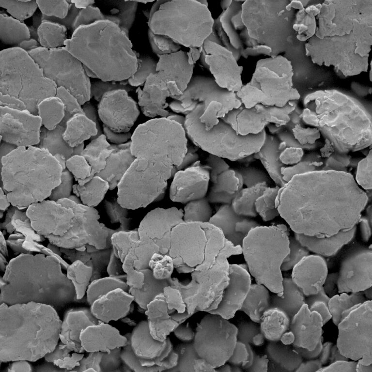  SEM – Microscope électronique à balayage – Jeol 7800‑E Prime